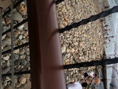 -东疆建设开发纪念公园