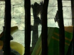 -蓝精灵乐园·世茂精灵之城主题乐园