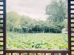 -陶辛水韵