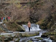 -凤凰山国家森林公园