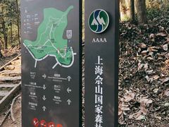 -上海佘山国家森林公园天马山园