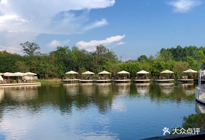 百花深处--环境图片-成都美食-大众点评网