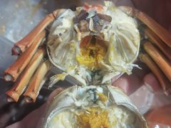 -阳澄湖大闸蟹·琼灵阁牌品牌连锁(吴中总店)