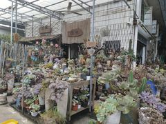 -桂林市花鸟市场