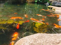 -青青世界