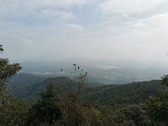 -广州市帽峰山景区