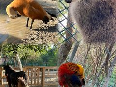 -水上乐园·欢乐世界