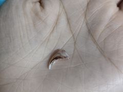 -宠颐生动物医院·心脏科·保险定点(锦阳分院)