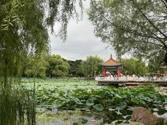 -长春市南湖公园