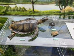 -国家自然博物馆