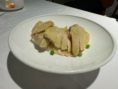 -老吉士酒家(丁香国际店)