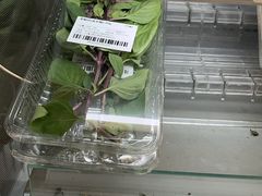 -AEON永旺(东方宝泰店)