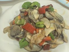 -煲来饱去冷水鱼