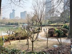 -新虹桥中心花园