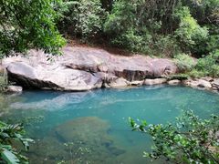 -广州白江湖森林公园