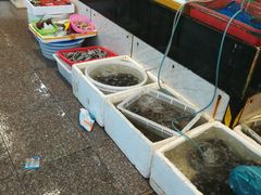 -东河市场