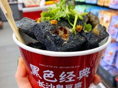 -黑色经典臭豆腐·湖南特产(坡子街店)