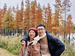 -白鹭湾湿地公园