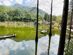 -深圳仙湖植物园