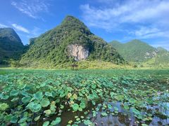 -靖西鹅泉风景区