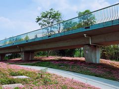 -白鹭湾湿地公园