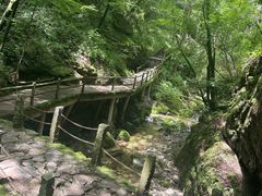 -牛背梁国家森林公园