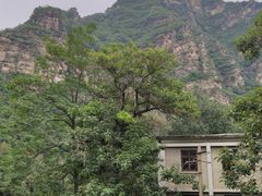 -北京上方山国家森林公园