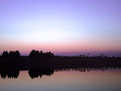 -合肥滨湖国家森林公园