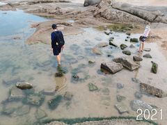 -日照灯塔风景区