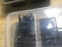 -华声天桥民俗文化园