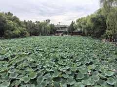 -莲池书院博物馆