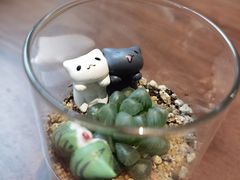 -Fridi Patisserie Cafe