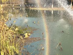 -昆山城市生态森林公园