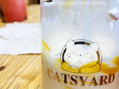 -猫小院猫主题餐厅(南锣旗舰店)