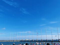 -碧海金沙