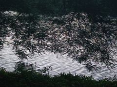 -南宁南湖公园