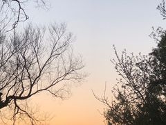-大蜀山国家森林公园