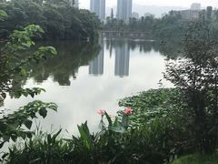 -东岳体育公园