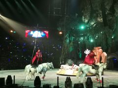 -广州长隆国际大马戏
