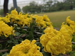 -上海大学(宝山校区)