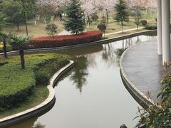 -洪湖悦兮半岛国际温泉度假村