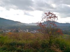 -塔川景区