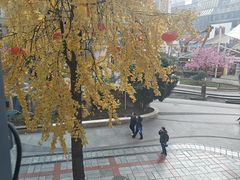 -豪客来牛排(重庆三峡广场步行街1704店)