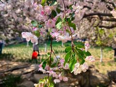 -元大都城垣遗址公园