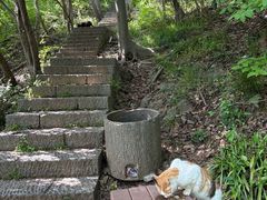 -头陀岭景区