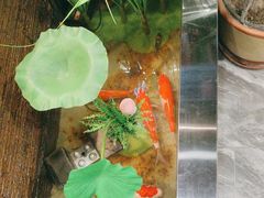 -洞庭家宴·头牌甲鱼(广渠门店)