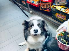 -黑色经典臭豆腐·湖南特产(潇湘文化店)