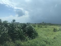 -鹅銮鼻公园