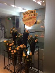 -奈瑞儿美颜美养SPA