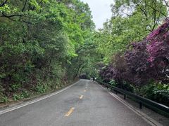 -岳麓山风景名胜区